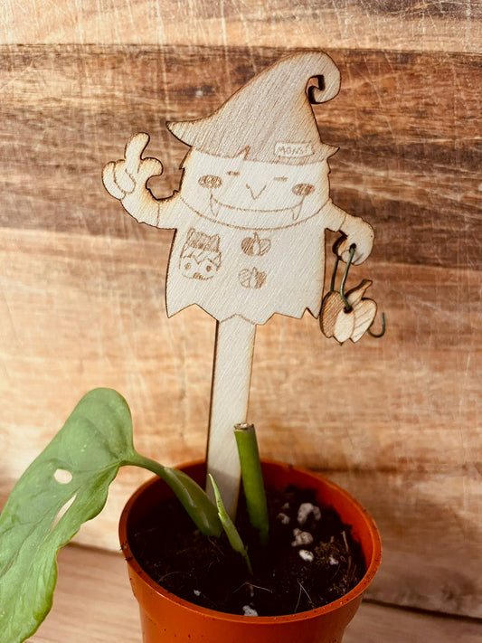 Pflanzstecker Monsterra